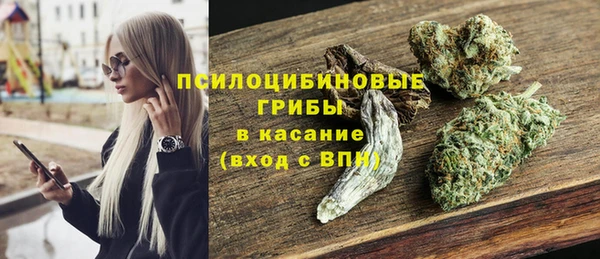 не бодяженный Алексин