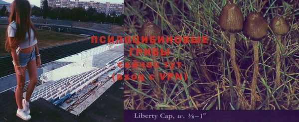 не бодяженный Алексин