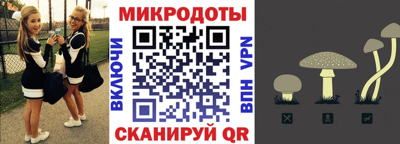 Галлюциногенные грибы Cubensis  даркнет сайт  Сясьстрой 